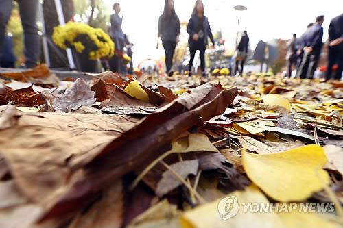 지난 5일 서울 관악구 서울대에서 '캠퍼스 가을 낙엽제'가 열렸다. 학생들이 낙엽을 밟으며 가을 정취를 만끽하고 있다. >