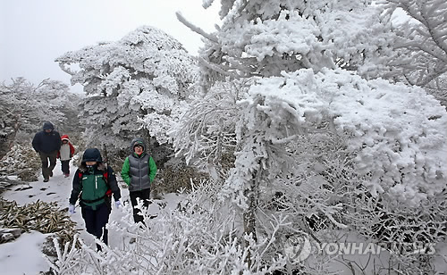 (제주=연합뉴스) 김호천 기자 = 18일 첫눈이 내려 설국을 이룬 한라산을 찾은 등반객들이 눈꽃 만발한 등반로를 걷고 있다. 2013.11.18. khc@yna.co.kr