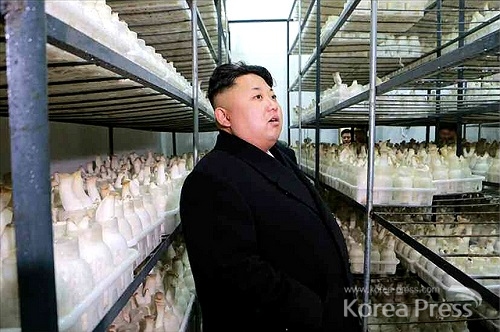 김정은 제1비서가 평양시버섯공장을 시찰하고 있다 (사진=노동신문)