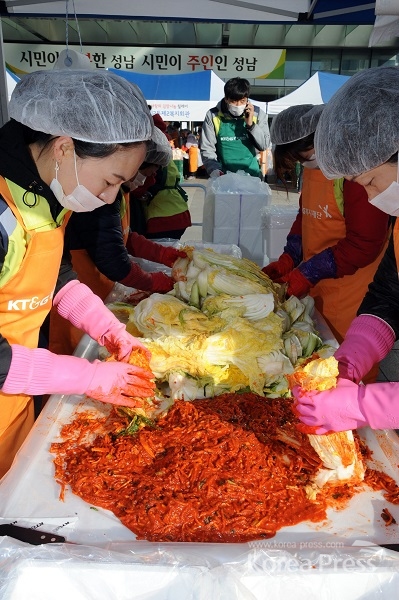 성남시청 광장에서 열린 ‘사랑의 김장 나눔’ 행사 참여 봉사자들이 절인 배추에 김치소를 넣고 있다.