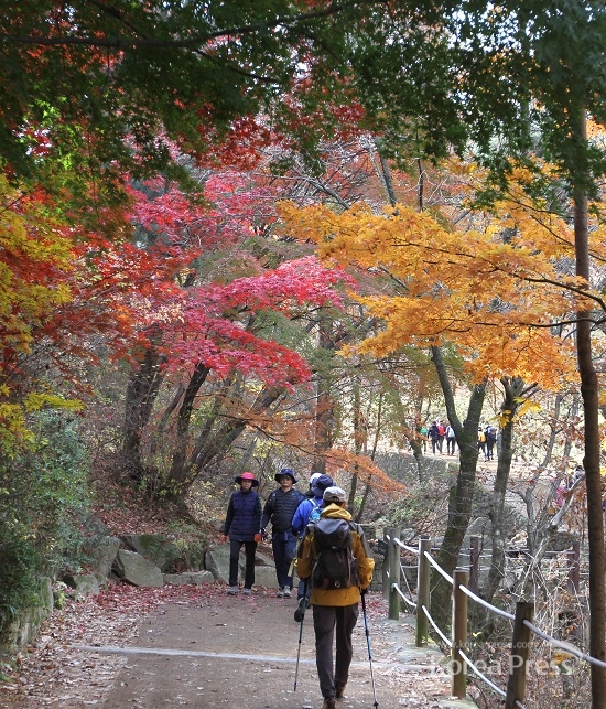 오늘의 전국 날씨 예보, 만추에 찾아온 겨울 한파가 계속되는 가운데 서울 서초구와 성남시 경계의 청계산에는 늦가을 단풍을 즐기며 산행을 하려는 등산객들이 늦가을 한파를 무릅쓰고 찾아들고 있다.