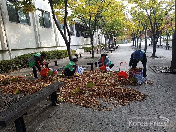 환경정비 사업 참여 공공근로자들이 거리 낙엽을 치우고 있다.