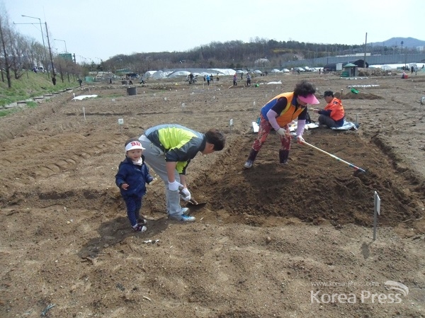 가족들이 모여 성남시민농원 실버텃밭을 일구고 있다(4월 자료사진)