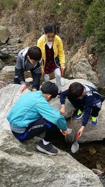 대원초 5학년생들이 사기막골에서 물속 생물 채집·관찰 중이다(4월 3일).